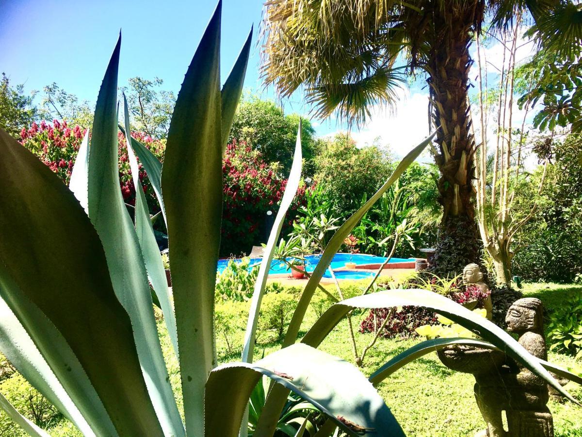 Tambor  Hotel Vista Linda Montana מראה חיצוני תמונה